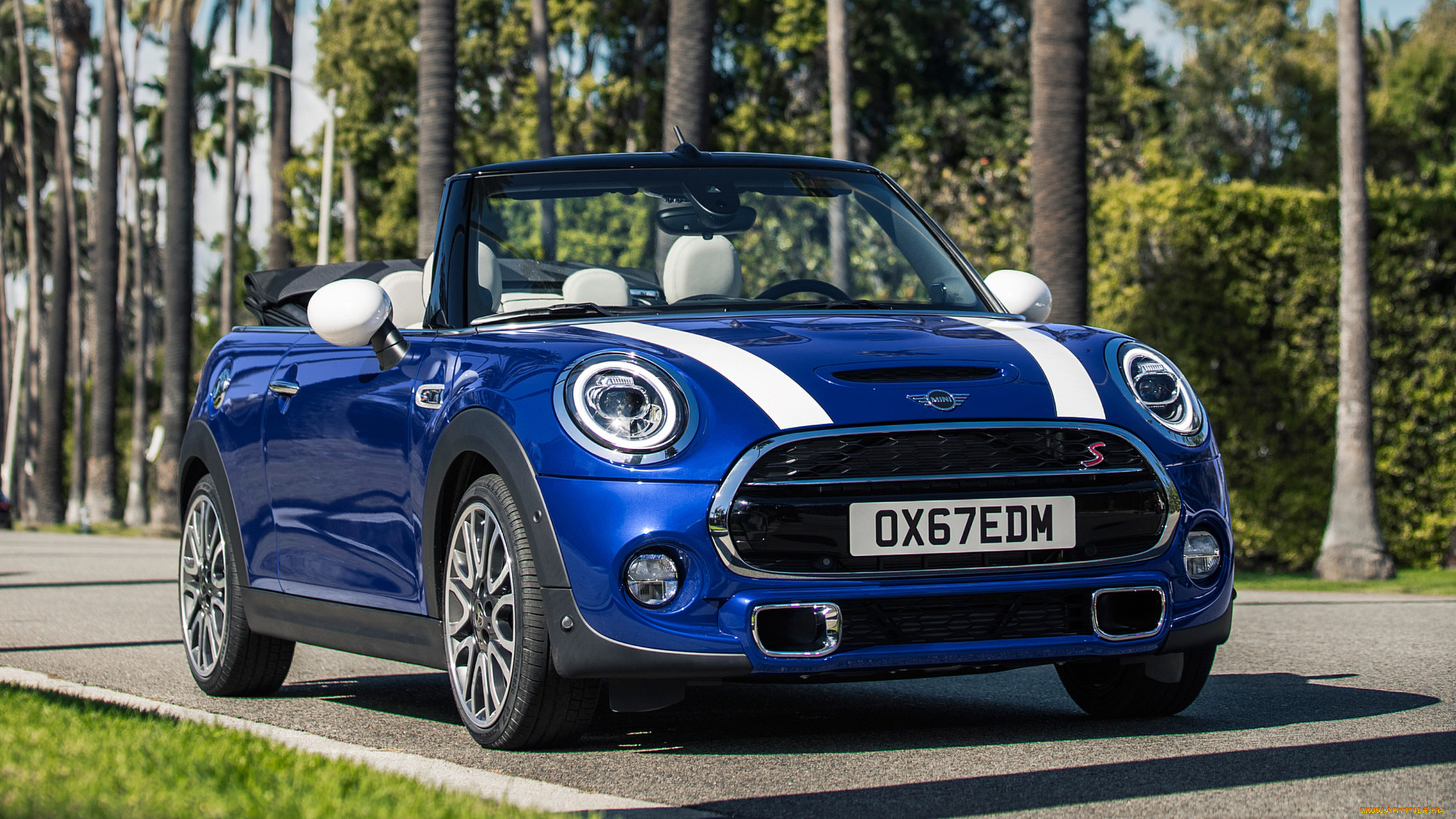 mini cabrio 2019, , mini, blue, 2019, cabrio